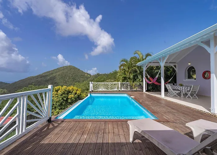 Villa Palmier rouge : 3 ch, piscine à débordement, vue mer et végétation Sainte-Luce