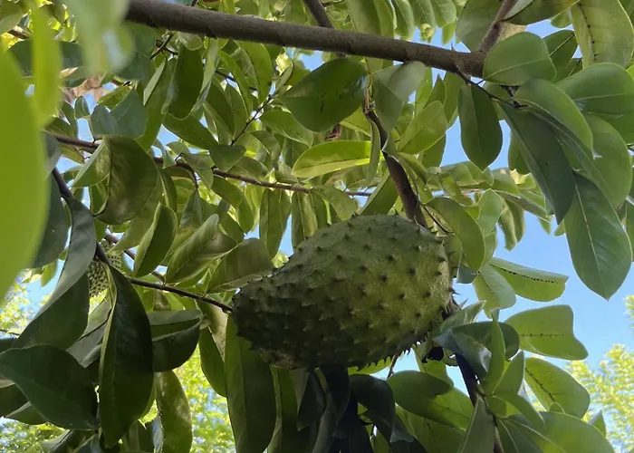 Eden Paradise Spa Ecolodge Sainte-Luce